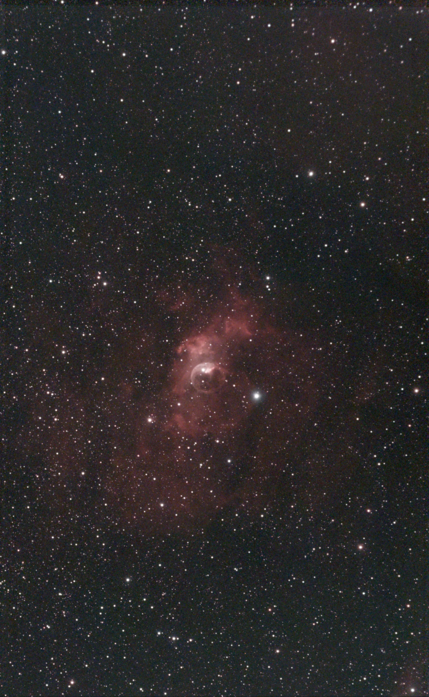 Michael Wilson's Seestar S50 capture of the Bubble Nebula, with a bright curved bubble inside a larger red cloud and a dense star field