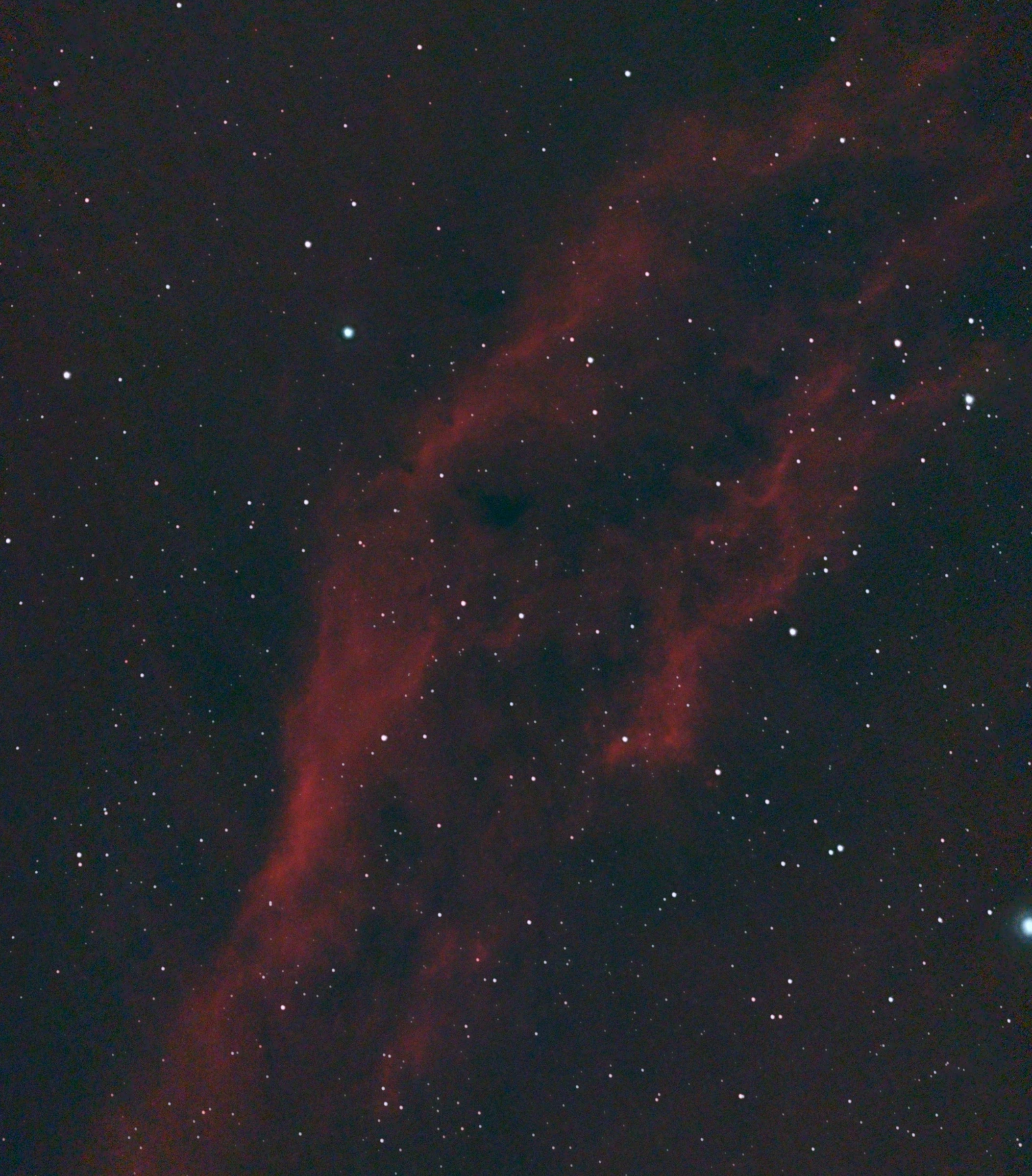 Michael Wilson's capture of the California Nebula with CASE, with long red clouds separated by dark channels