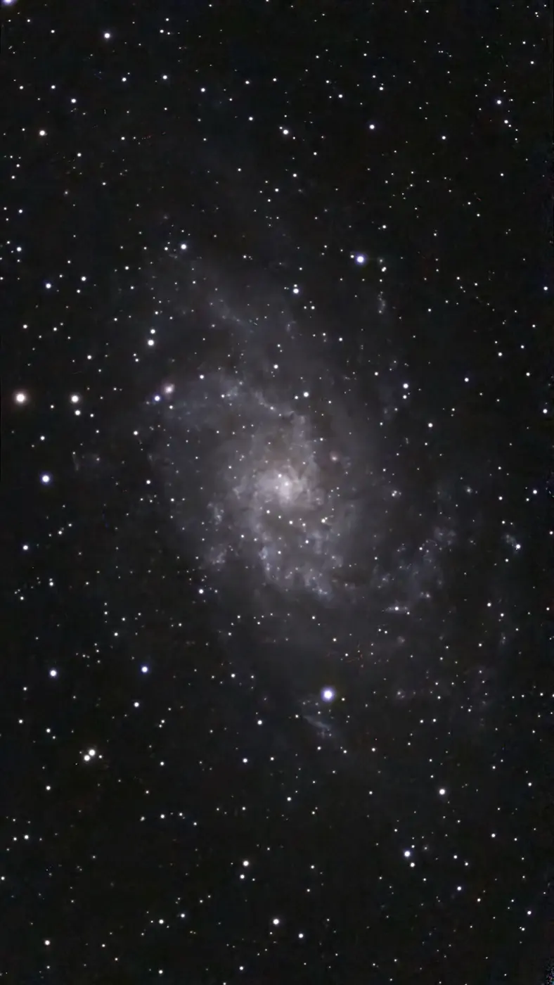 Michael Wilson's capture of the Triangulum Galaxy against a dense star field